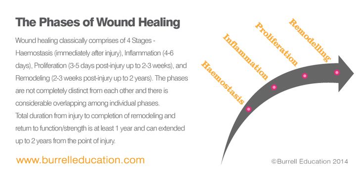 Phases of Wound Healing Post Natal